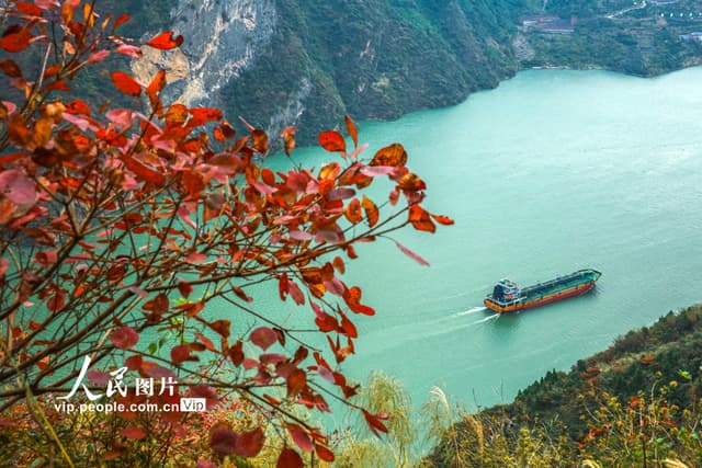 湖北秭归：峡江山村“红霞”飞