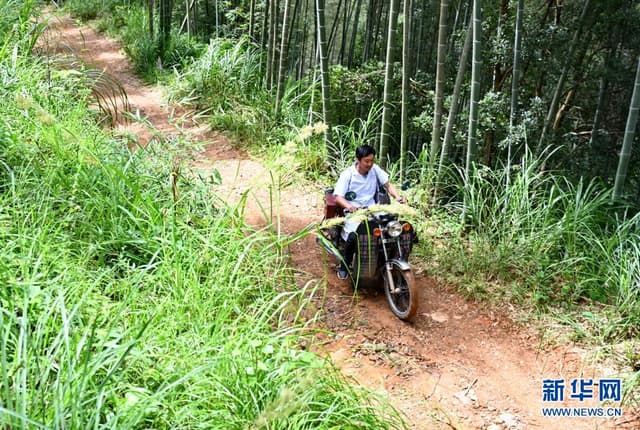 “摩托乡医”杨家福：山村老人健康的守护者