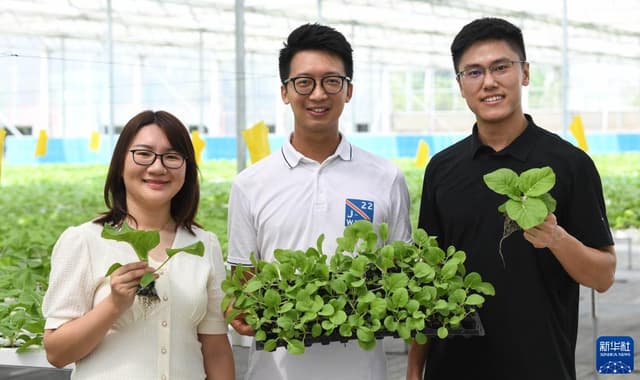 三位香港青年的蔬菜梦工厂