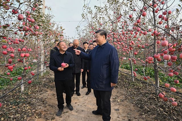 习近平在陕西延安和河南安阳考察时强调  全面推进乡村振兴  为实现农业农村现代化而不懈奋斗