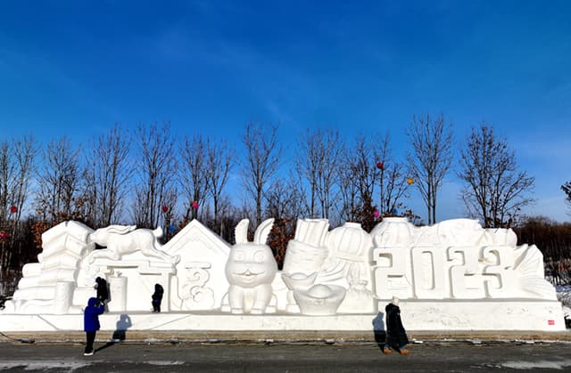 看雪雕逛鱼市 东极抚远年味儿渐浓