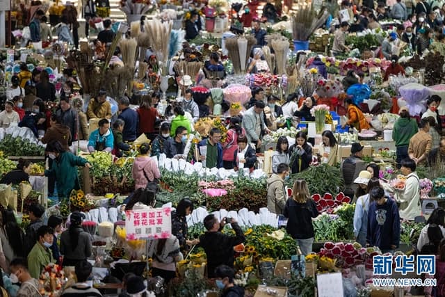 昆明斗南：一年卖出110亿枝鲜花 “亚洲花都”花开正艳