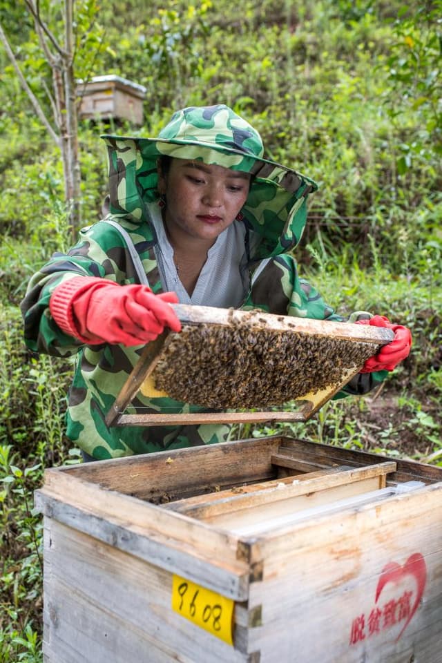 筑底线 强增收 提后劲——云南综合施策防返贫巩固拓展脱贫攻坚成果