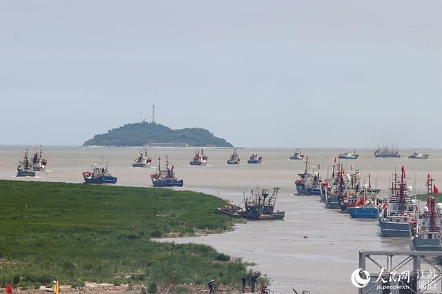 千帆竞发势如虹——习近平总书记谋划推动东部率先发展谱写新篇章