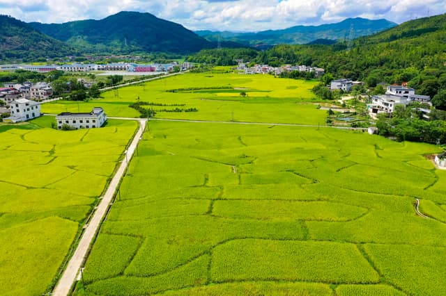 江西全南：乡村田园好风光