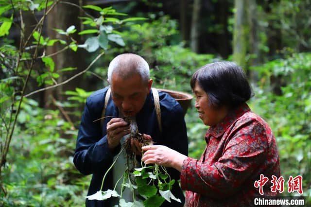 湖北一村医扎根深山50年守护乡亲健康