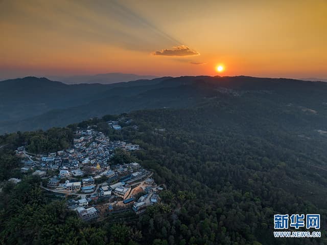 云南景迈山：万亩古茶林 千年守护情