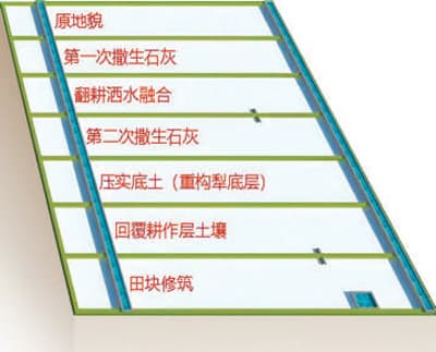 湖南省耕作层剥离再利用试点项目改造1700亩耕地—— 丰裕村喜迎丰收年