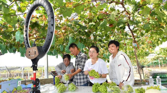 江西：乡村主播“活了”山里经济