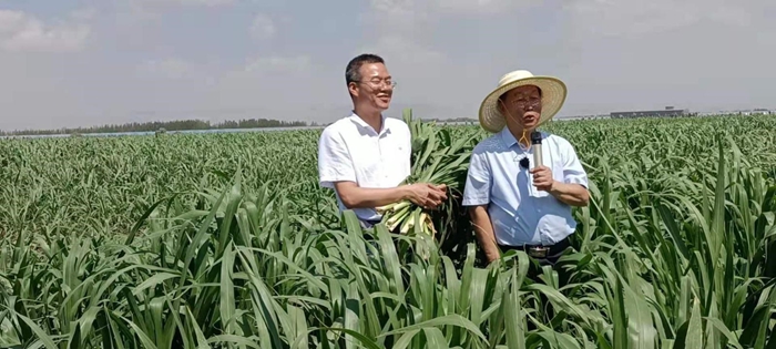 总书记提到的《山海情》原型林占熺，他是谁？