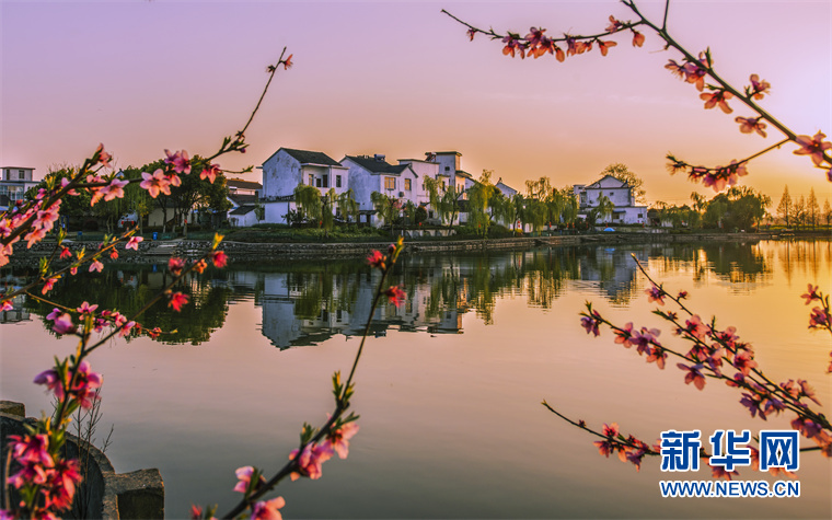 构建现代农业体系 芜湖湾沚打造“强、美、富”乡村