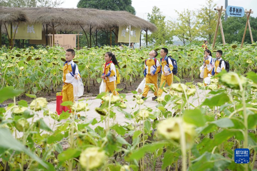 劳动研学实践 体验农耕文化