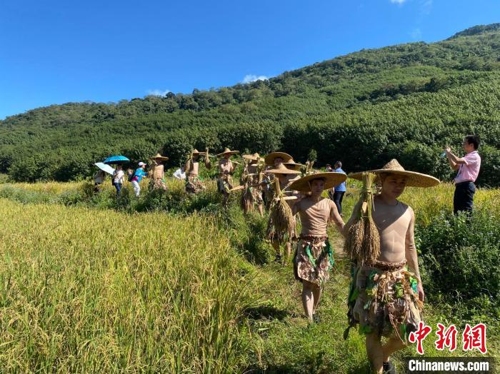 海南山兰稻飘香 黎乡举办“啦奥门”文化节庆丰收