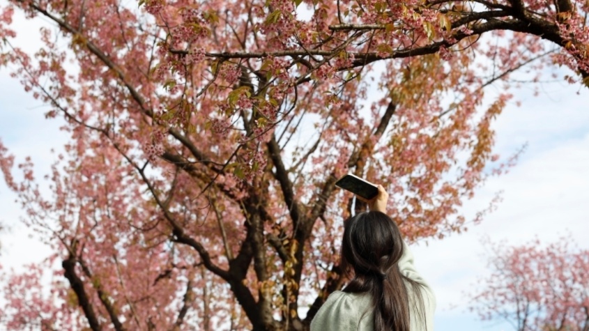 这个城市有点潮|昆明：“花花世界”迷人眼