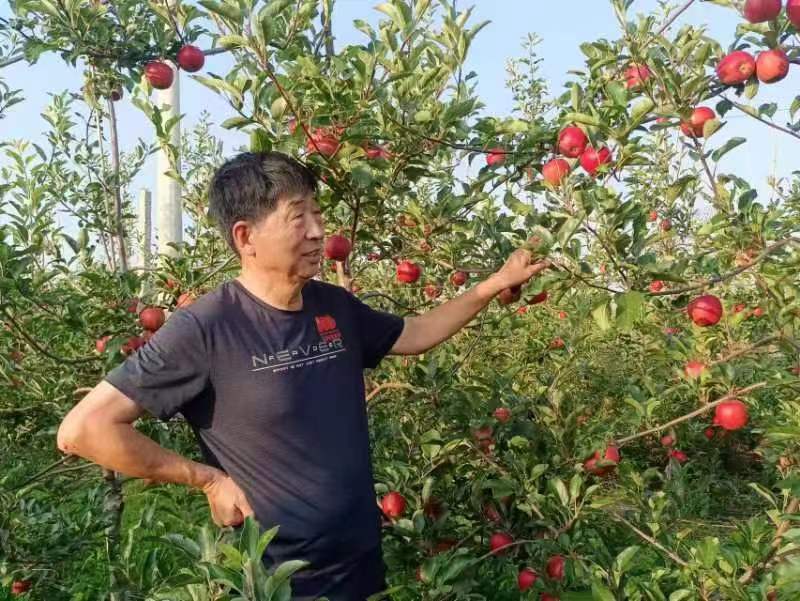 对非土地流转基础上适度规模经营试点村的探索