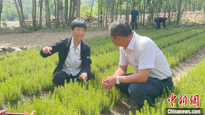 二十大代表风采丨“大山的女儿”刘桂珍：坚守一生 奉献是福