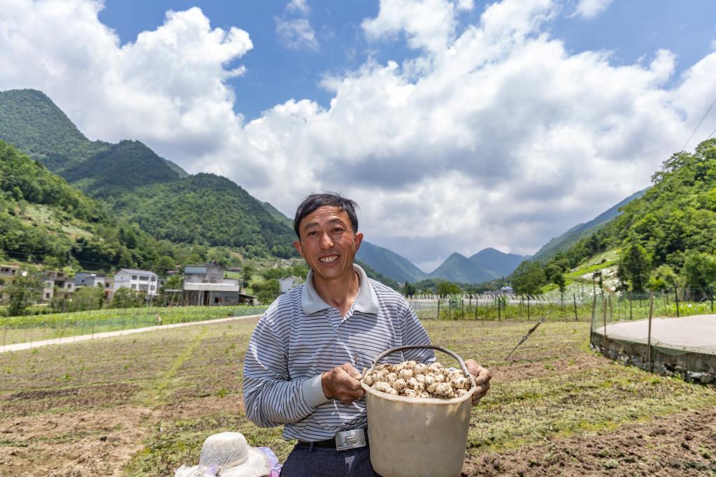 重庆巫溪：高山村落的乡村振兴剪影