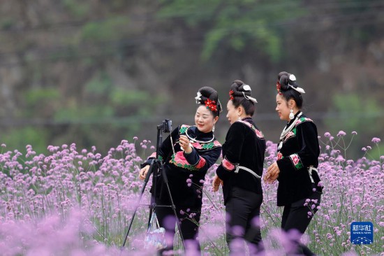 初夏赏花