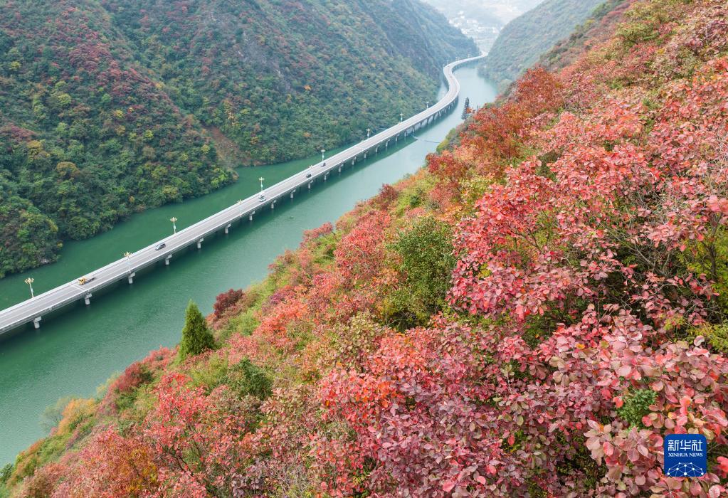 湖北宜昌：“水上公路”入画来